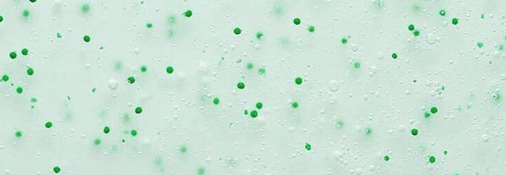 jungle botanics shampoo