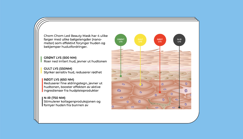 chom-chom-lydprogrammer